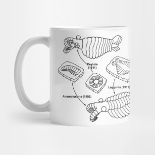 Anomalocaris and Associated Fossils Black Line Drawing Mug